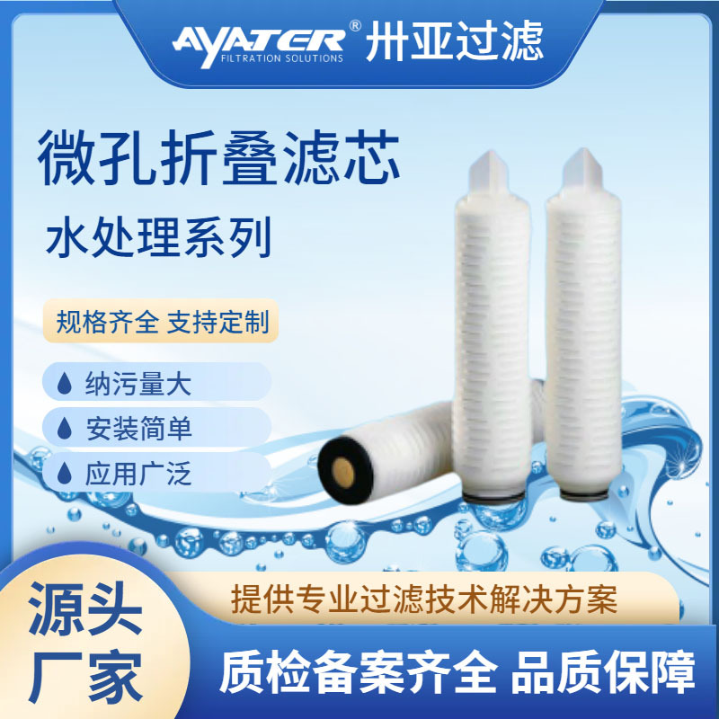 卅亞過濾10英寸0.45um親水性折疊濾芯