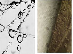 過濾系統 QQ圖片20201216172637_副本